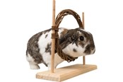 Gnagare - Trixie Smådjurs Agility Set med Ring & Hinder för Råttor Dvärgkaniner 28x26x11cm - TX61910