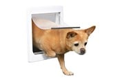 Hundar - Trixie 2-Way dog flap with tunnel XS–S: 25 × 29 cm white - TX3877