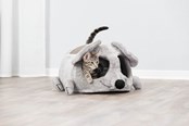Katter - Trixie Junior Mjukisgrotta Lukas för Kattungar 35x33x65cm - TX36290