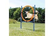 Hundar - Trixie Fun Agility Ring – Justerbar träningsring för hundar - TX3208