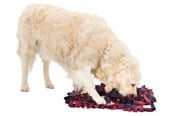 Hundar - Trixie Dog Activity Sniffing Carpet Strategy Game 50x34cm - TX32037