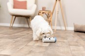 Hundar - Trixie Hundaktivitetsleksak Snack-Rulle - TX32020