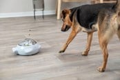 Hundar - Trixie Snack Popper - TX32004