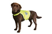 Hundar - Trixie Dog Safety Vest Reflective XS Length 21cm Stomach Circum 34-40cm - TX30080