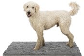 Hundar - Trixie Smutsabsorberande matta 60x50cm - TX28534