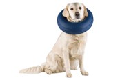 Hundar - Trixie Protective Collar Inflatable S 24-31cm - TX19542