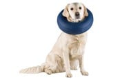 Hundar - Trixie Protective Collar Inflatable XS 20-24cm - TX19541
