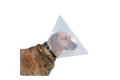 Hundar - Trixie Protective collar plastic L–XL: 47–57 cm/30 cm - TX19486