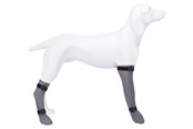 Hundar - Trixie Protective Sock silicone XL: 12 cm/45 cm grey - TX19434