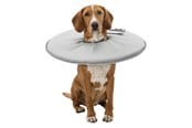 Hundar - Trixie Protective collar polyester/foam XS: 23–27 cm/13 cm grey - TX19422