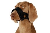 Hundar - Trixie Muzzle loop nylon XL–XXL black - TX19283