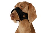 Hundar - Trixie Muzzle loop nylon L–XL black - TX19282