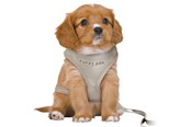 Hundar - Trixie Junior Puppy Mjuksele med Koppel Storlek S-M Magomfång 26-34cm - TX15560
