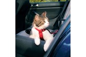 Katter - Trixie Car cat harness 20–50 cm/15 mm red - TX1294