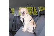 Hundar - Trixie Car Harness Safety Belt L 70-90cm/25 mm Stomach Circum 70-90cm - TX1292