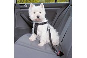 Hundar - Trixie Car Harness Safety Belt XS 20-50cm/25 mm Stomach Circum 20-50cm - TX1288
