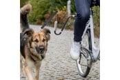 Hundar - Trixie Cykelset för Säker Hundcykling U-formad Storlek M-XL - TX12860
