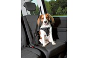 Hundar - Trixie Comfort car harness S–M: 40–55 cm/17 mm black - TX12855