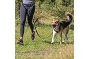 Hundar - Trixie Midjebälte med Koppel för Medelstora och Stora Hundar - TX12766