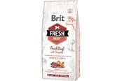 Hundar - Brit Fresh Beef with Pumpkin Puppy Large 12 kg - BH281200