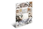 Mappar och Skrivplattor - HERMA Elasticated folder A3 cardboard cats - 19219