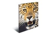 Mappar och Skrivplattor - HERMA Elasticated folder A4 PP Leopard - 7137