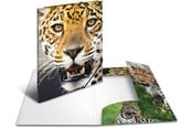 Mappar och Skrivplattor - HERMA Leopard Folder A3 - 4008705071420