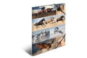 Mappar och Skrivplattor - HERMA Elasticated folder A3 cardboard horses - 19217