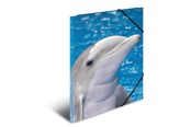 Mappar och Skrivplattor - HERMA Elasticated folder A3 PP Dolphin - 7146