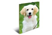 Mappar och Skrivplattor - HERMA Elasticated folder A3 PP Dogs - 7144
