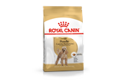 Hundar - Royal Canin Poodle Adult 1.5kg - 3182550743174