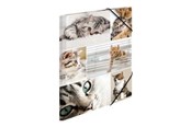 Mappar och Skrivplattor - HERMA 3-flap folder - for A4 - cats - 19212