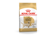 Hundar - Royal Canin Labrador Retriever Adult 12kg - 3182550715645
