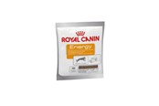 Hundar - Royal Canin Energy Treats for Dog 50g - 3182550784641