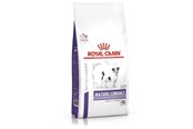 Hundar - Royal Canin Mature Consult (Small Dogs) 3.5kg - 3182550782005