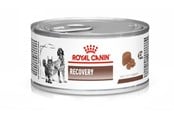 Hundar - Royal Canin Vet Recovery Canine/Feline 195g - 9003579307717