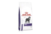 Hundar - Royal Canin Adult Large Dog 13kg - 3182550925105