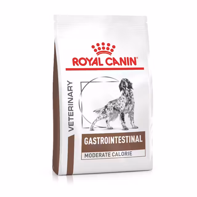 Hundar - Royal Canin Gastrointestinal Moderate Calorie 2kg - 3182550771115