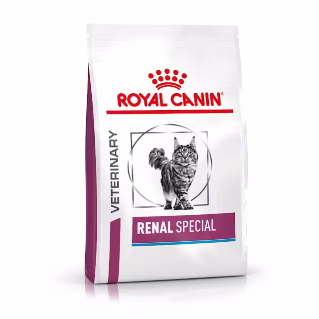 Katter - Royal Canin Renal Special Dry Food for Cats 400g - 3182550917049