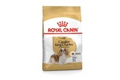 Hundar - Royal Canin Cavalier King Charles Adult 1.5kg - 3182550743501