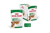 Hundar - Royal Canin Mini Ageing Chunks in Gravy 85g (12-Pack) - 9003579008287