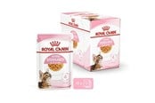 Katter - Royal Canin Kitten Sterilised Jelly 12 × 85 g - 9003579007167
