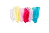 Konst- och hantverksmaterial - Creativ Company Feathers in Various Colors 11-17cm 18pcs. - 518490