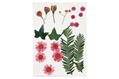 Konst- och hantverksmaterial - Creativ Company Dried Flowers and Leaves Light Red 19 pcs. - 504471