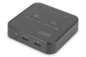 Hårddisk, tillbehör - DIGITUS Dual M.2 NVMe SSD Docking Station with Offline Clone Function - DA-71545