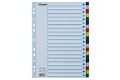 Fickor, Omslag & Register - Esselte Faneblad PP A4 20-delt flerfarve - 10K217C