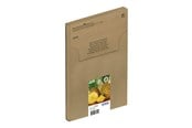 Skrivartillbehör-bläck-toner - Epson 604 Multipack Easy Mail Packaging - 4-pack - XL - black yellow cyan magenta - original - ink cartridge - C13T10G64510