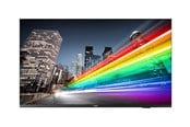 Digital skyltning & Hotell - Philips 43BFL2214 B-Line Professional Series - 43" LED-backlit LCD TV - 4K - for digital signage - 43BFL2214/12