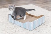 Katter - Trixie Klössäng i kartong med kattmynta i trälook - TX48013