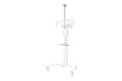 Väggfäste, AV-Möbel - Neomounts Select - mounting component - for camera / mediabox - white - Max 9 kg - recommended for - AFLS-825WH1